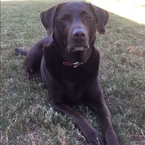 Meet your Posher, Ryan